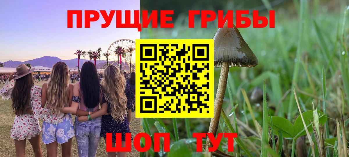 Галлюциногенные грибы мухоморы Нягань