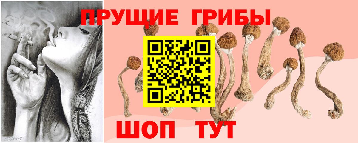 Псилоцибиновые грибы мухоморы  купить закладку  Вход с VPN  Нягань  Псилоцибиновые грибы GOLDEN TEACHER 